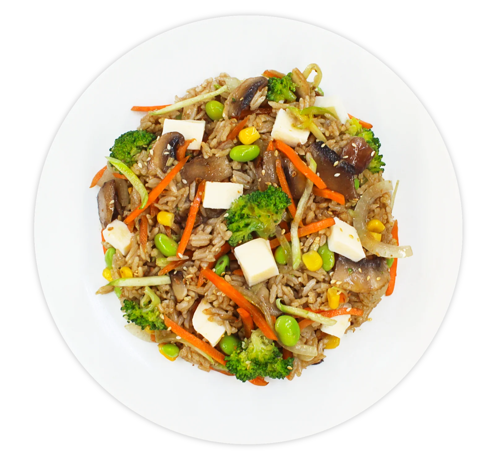Rice with squid in sauce