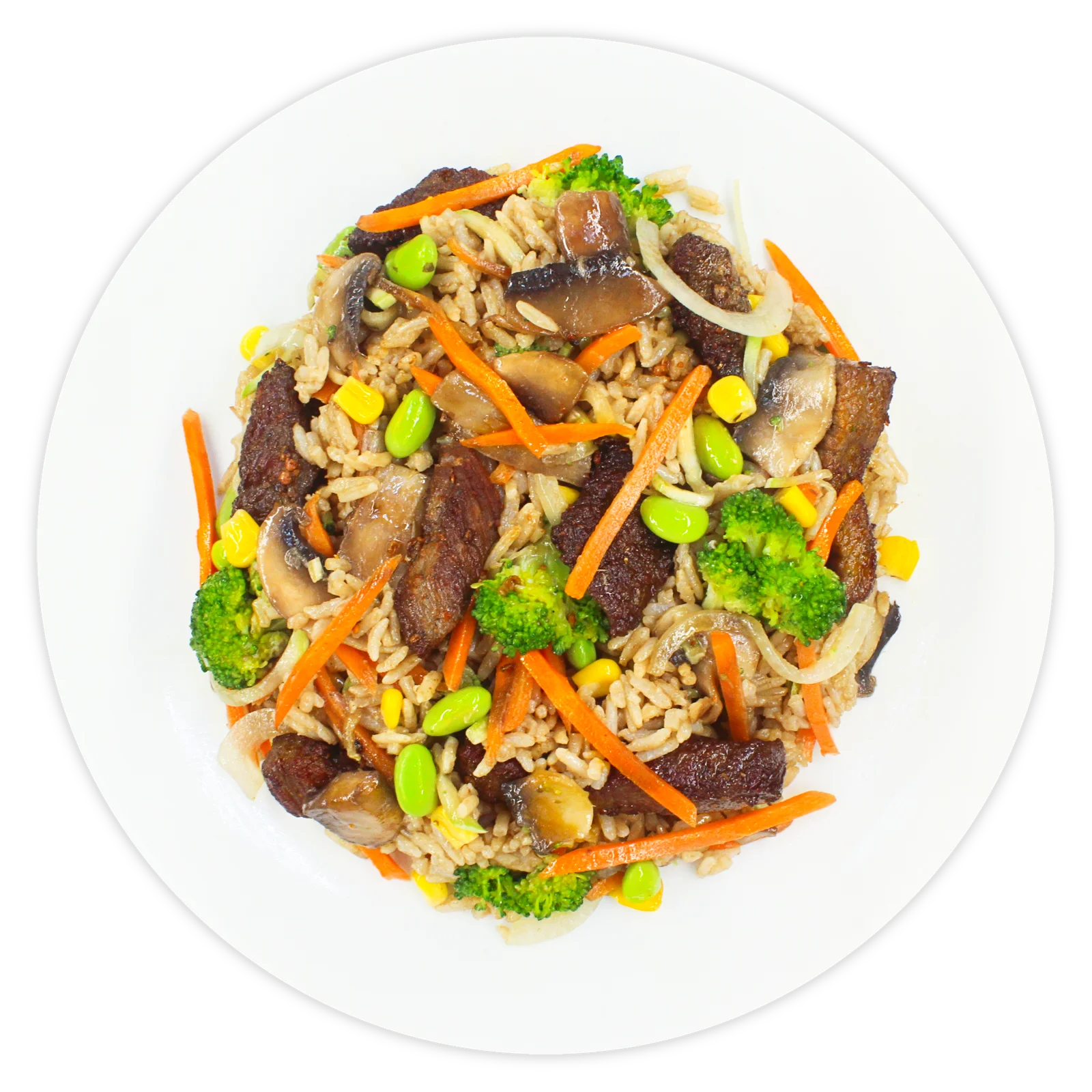 Fried rice with beef