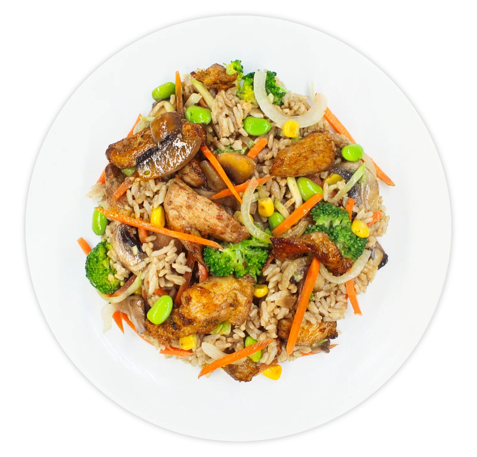 Fried rice with chicken