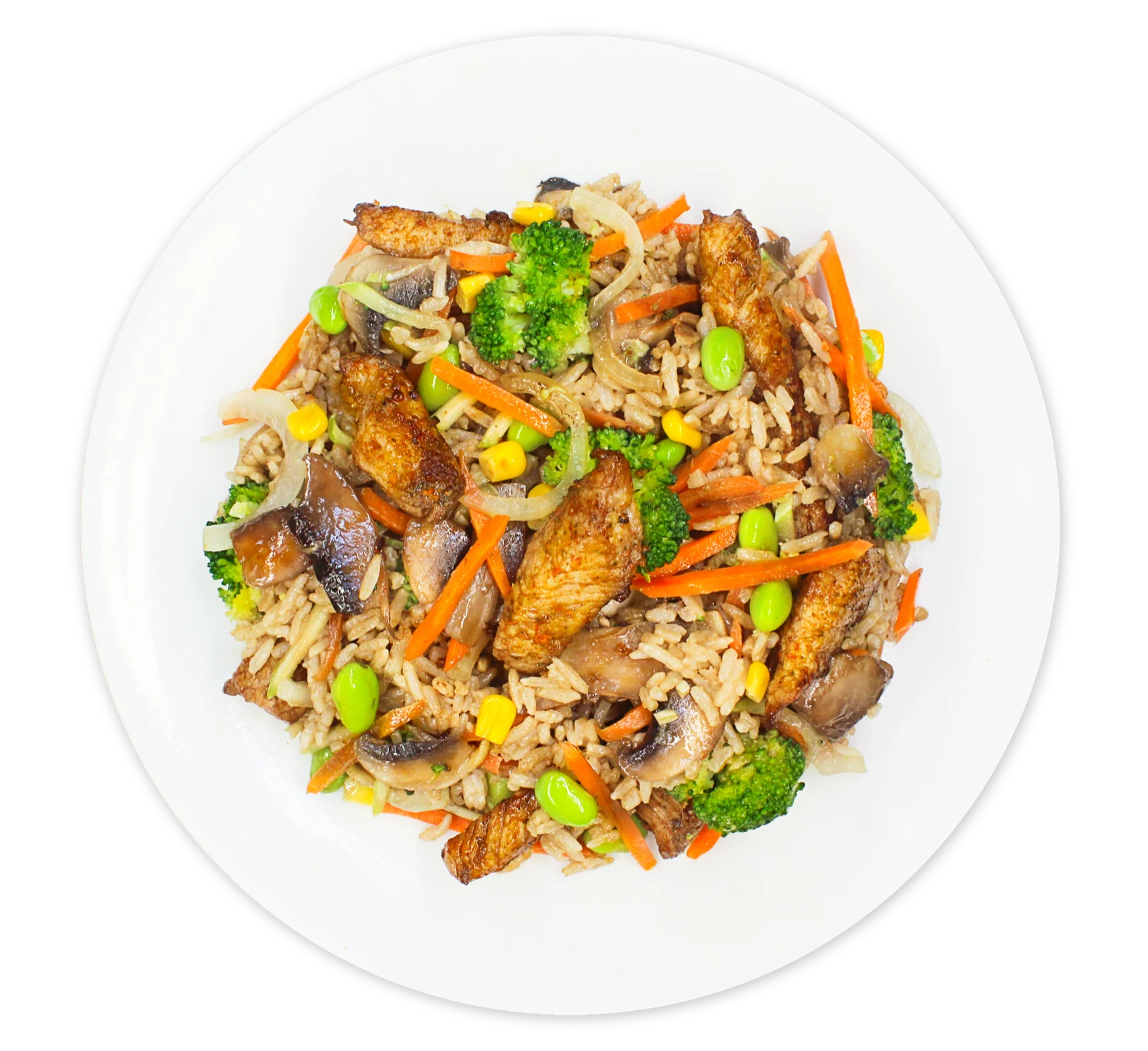 Fried rice with pork